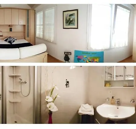 Проживание в семье Kelly *